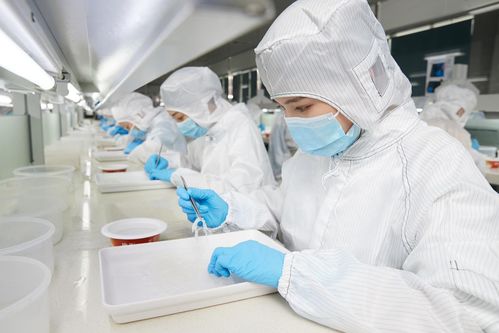 再登世界品质之巅 燕之屋荣获欧盟BRC IFS双认证，硬件研发成就卓越